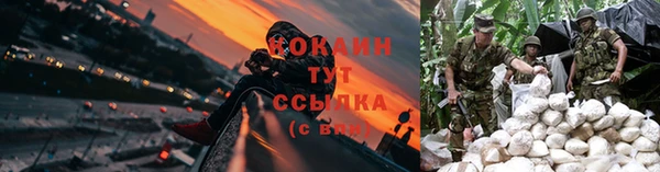 кокаин перу Богданович
