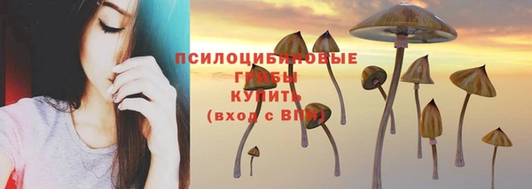 кокаин премиум Богородицк