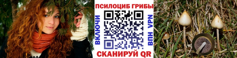 Псилоцибиновые грибы прущие грибы Купить Грайворон