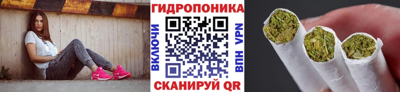 Купить  Грайворон  Марихуана ГИДРОПОН 